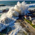 Найбільше цунамі в світі: гігантська хвиля, що зняла вершини дерев