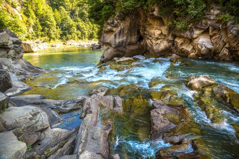 Найбільші притоки річки Прут