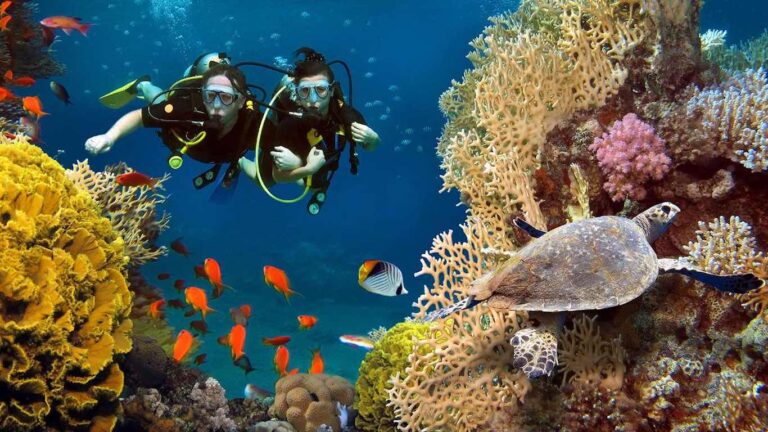 Червоне море: де знаходиться скарб Індійського океану