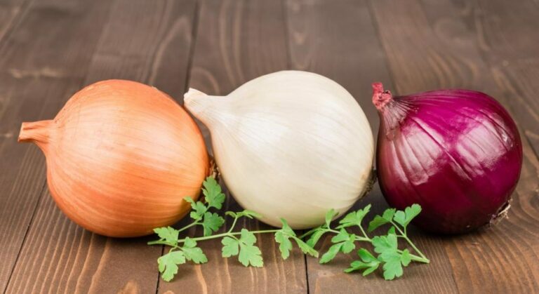 Користь цибулі: суперфуд, що ріже хвороби навпіл