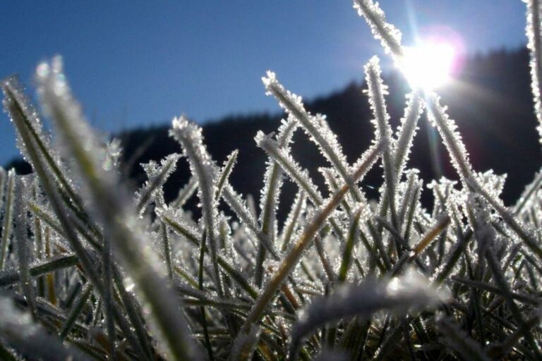 Як утворюється іній: таємниця кришталевих візерунків