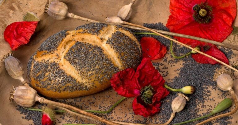 Чому хочеться маку: причини тяги та скарби насіння