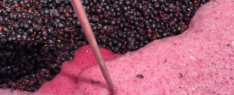 Чим замінити винні дріжджі: повний гід для домашніх виноробів