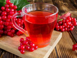 Чим корисна калина: червона сила природи для здоров’я