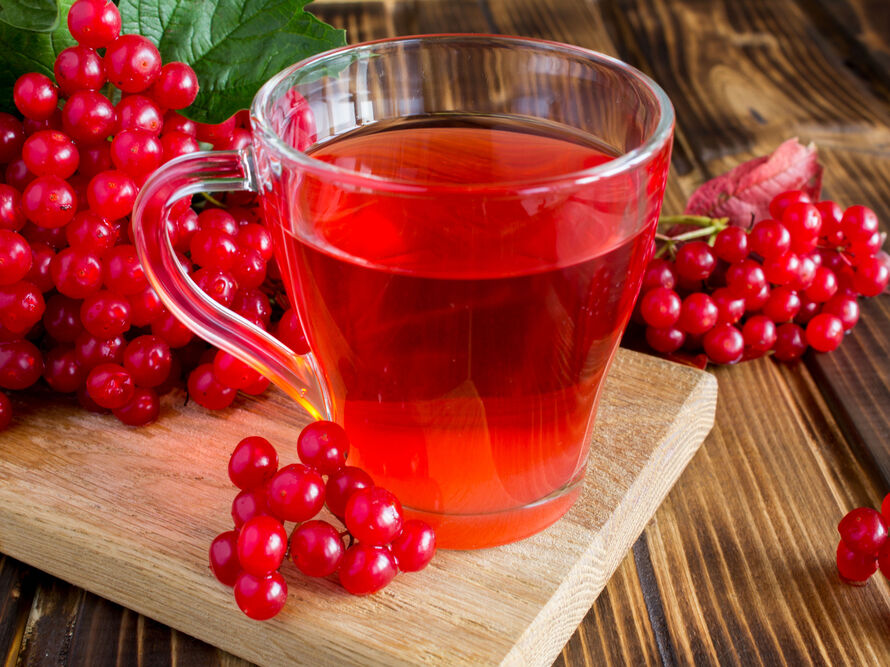 Чим корисна калина: червона сила природи для здоров’я
