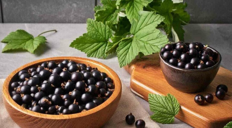 Користь смородини: суперфуд, що перевершує апельсини