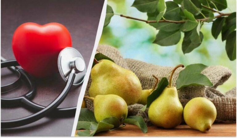 Чим корисні груші: соковита користь, що оживає в кожному шматочку