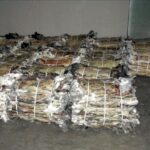 Де продати кролячі шкурки: вичерпний гайд для фермерів і новачків
