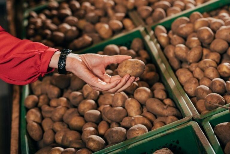 Де продати картоплю в Україні: вичерпний гайд по каналам збуту для новачків і фермерів 2026