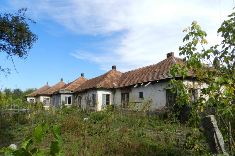 Найменше село в Україні: крихітний світ, що тримається на кількох долонях